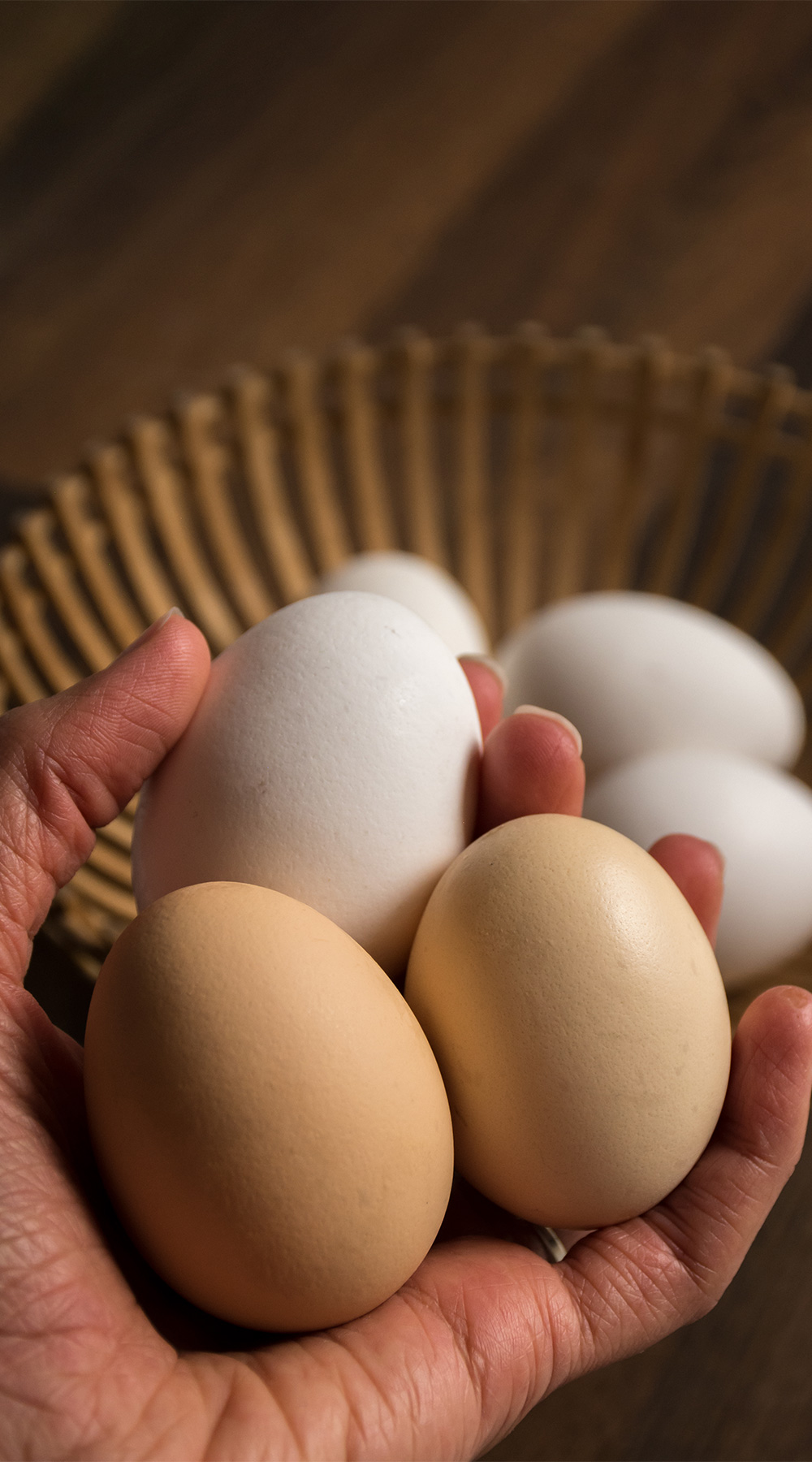 Santa Clara Agro Comercial